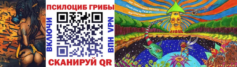 ОМГ ОМГ вход Чудово Галлюциногенные грибы мухоморы